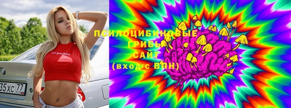 прущая мука Каменногорск