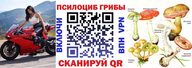 Галлюциногенные грибы Magic Shrooms  цена   blacksprut онион  Малмыж 